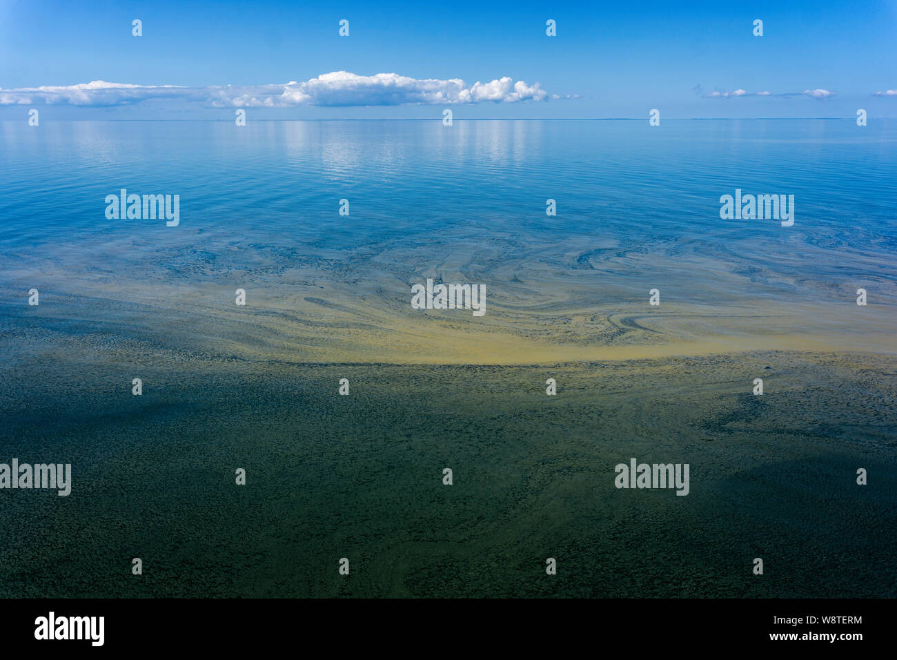 Brown and green plankton bloom in The Baltic Sea Stock Photo