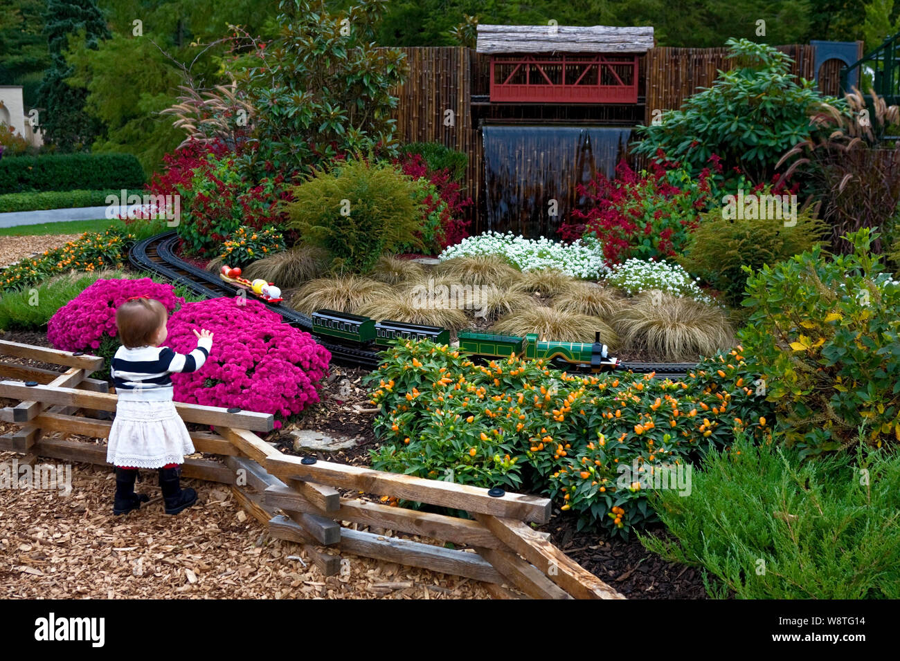 outdoor miniature train display; toddler girl pointing; flowers; plants; covered bridge; water cascading, Longwood Gardens; Kennett Square; PA; autumn Stock Photo