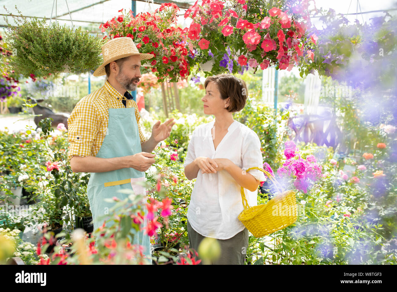 Men gardening hi-res stock photography and images - Alamy
