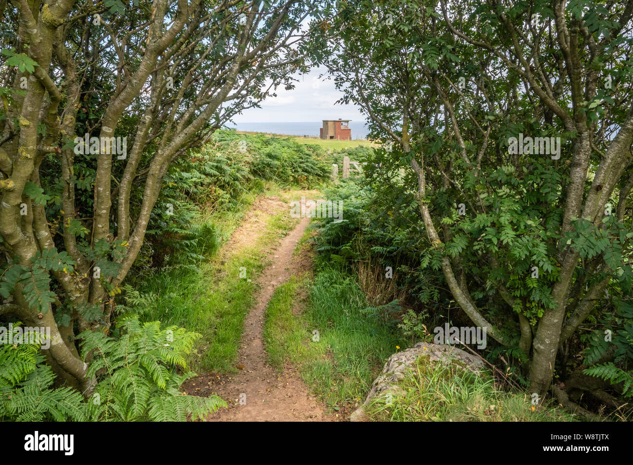 05/08/2019 Robin Hoods Bay, North Yorkshire, Uk Walking along the long
