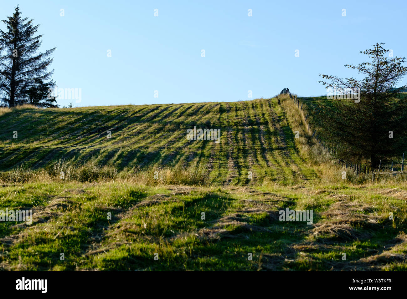 Hillside croft field in the crofting township of Lochcarron, part of Lochcarron Estate Stock Photo