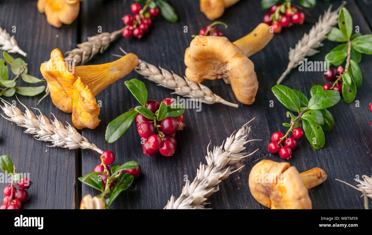 Food banner hi-res stock photography and images - Alamy