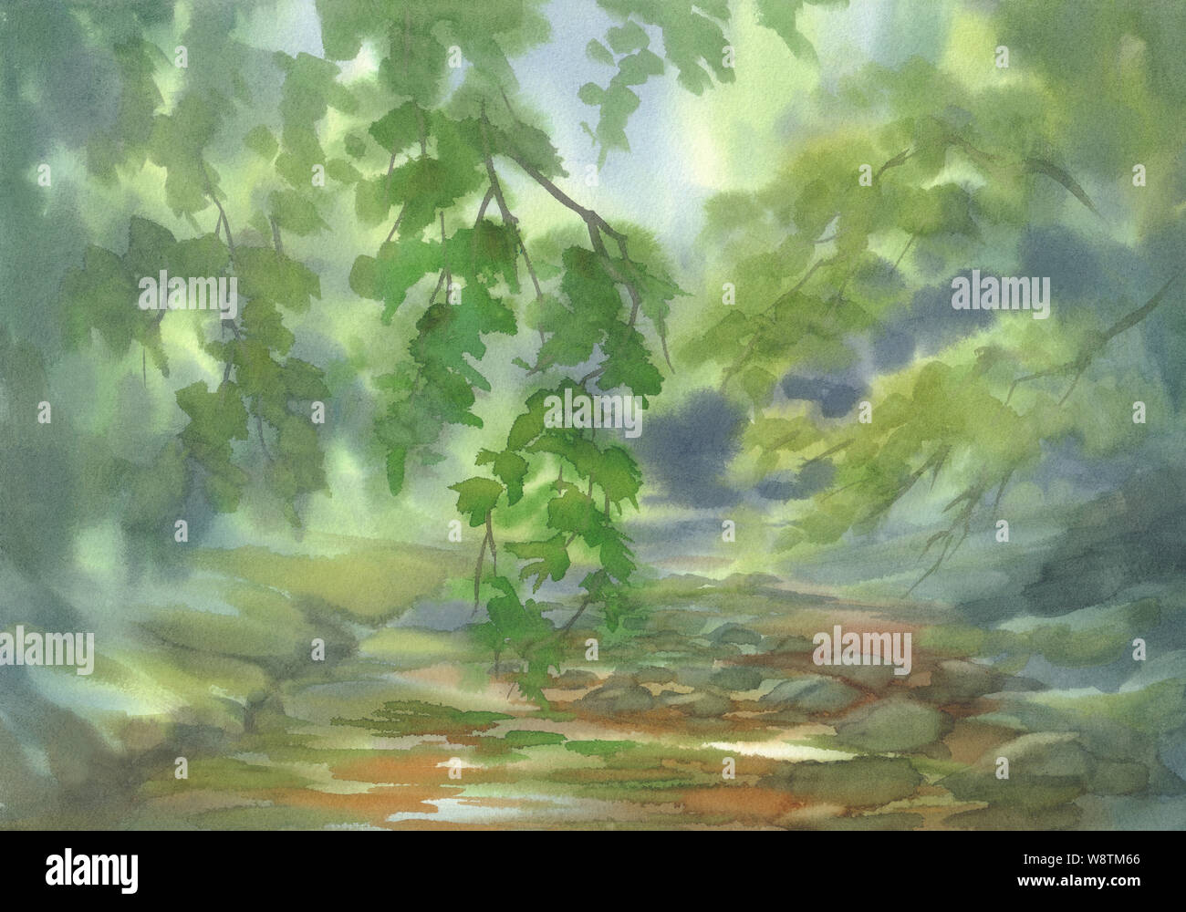 Forest Landscape With Stones Watercolor Background Green Summer Illustration Stock Photo Alamy