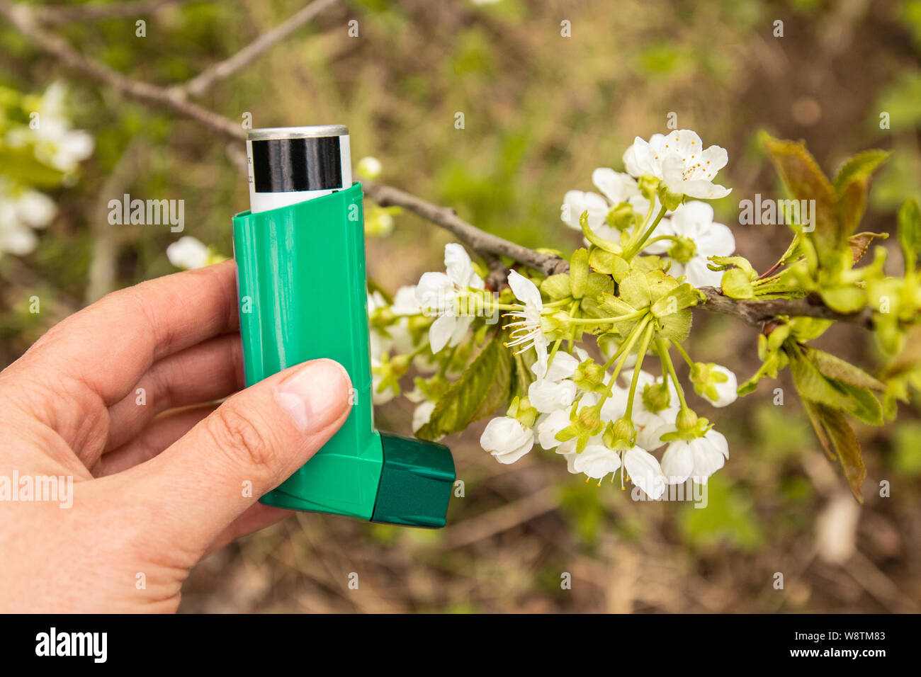 Asthma and COPD disease concept. Pharmaceutical products is used to prevent and treat wheezing and shortness of breath caused asthma. Spring flowering Stock Photo