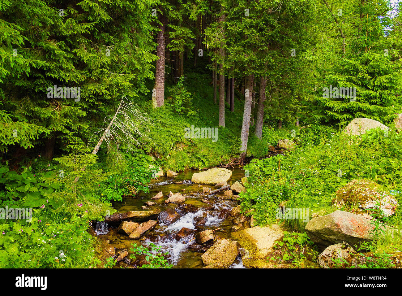 Prut Prut River High Resolution Stock Photography and Images - Alamy