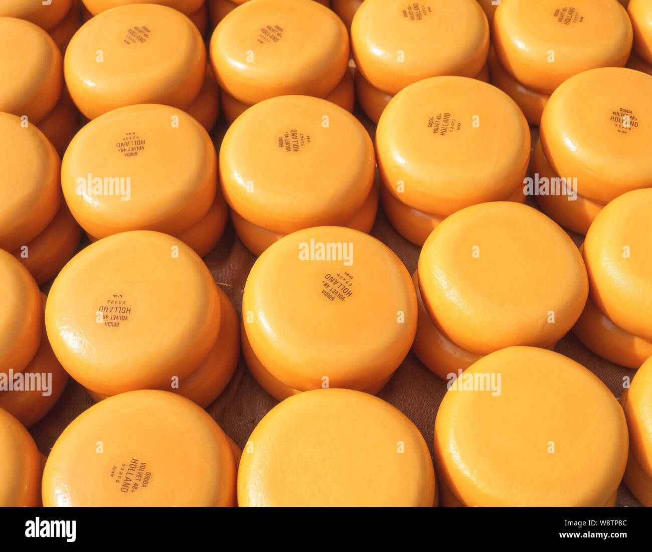 Wheels of Gouda cheeses,  at Alkmaar Cheese Market, Alkmaar, Noord-Holland, Kingdom of the Netherlands Stock Photo