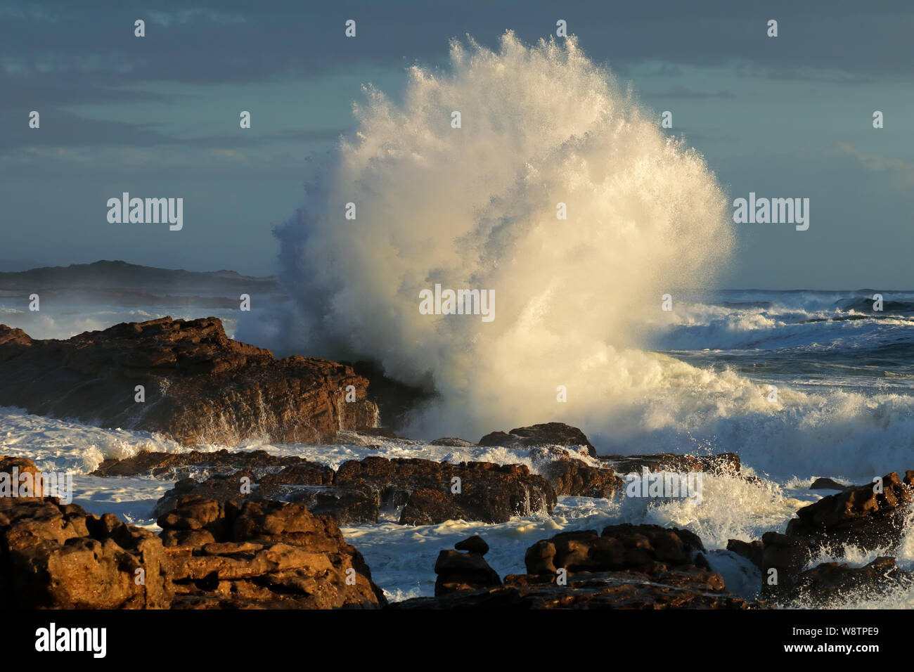 Seascape with large breaking wave on coastal rocks, South Africa Stock Photo