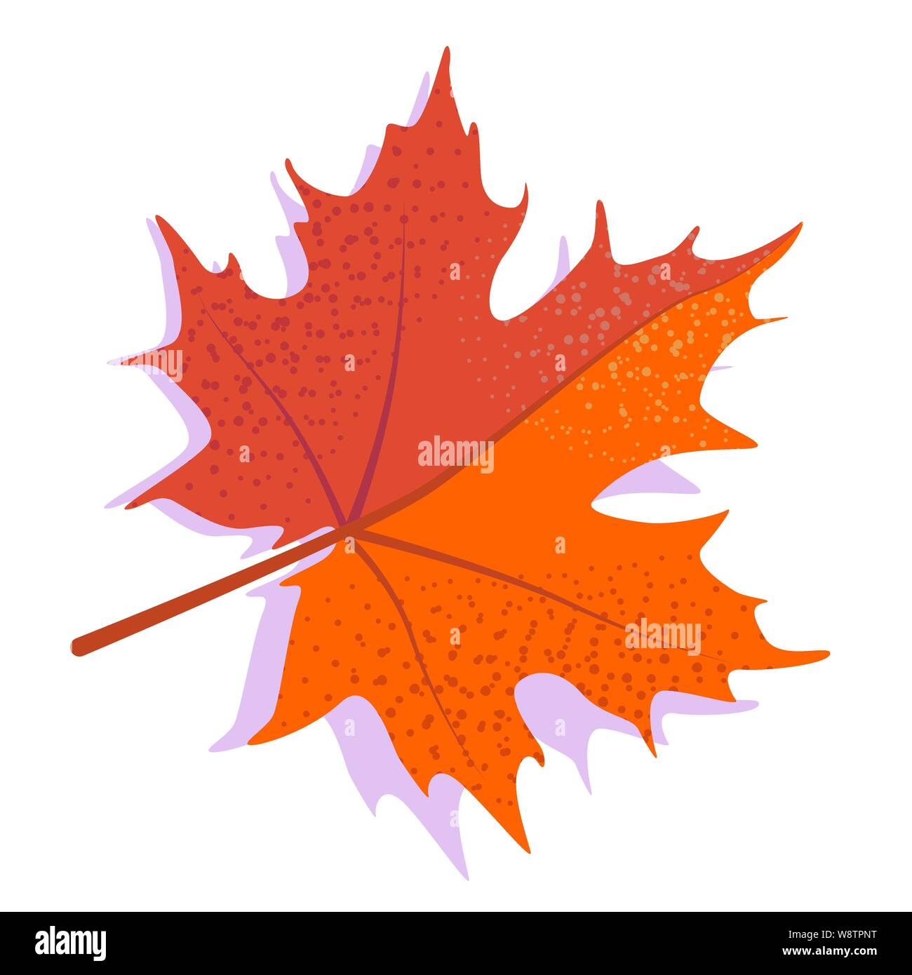 Orange vector maple leaf with shadow, isolated on white background. Single autumn leaf. Stock Vector