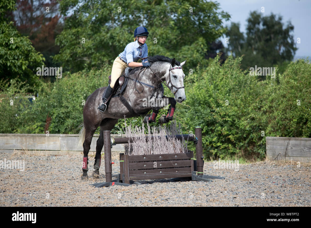 Holly jumping on Luna at Pony Club Camp, Broadway 2019, UK Stock Photo
