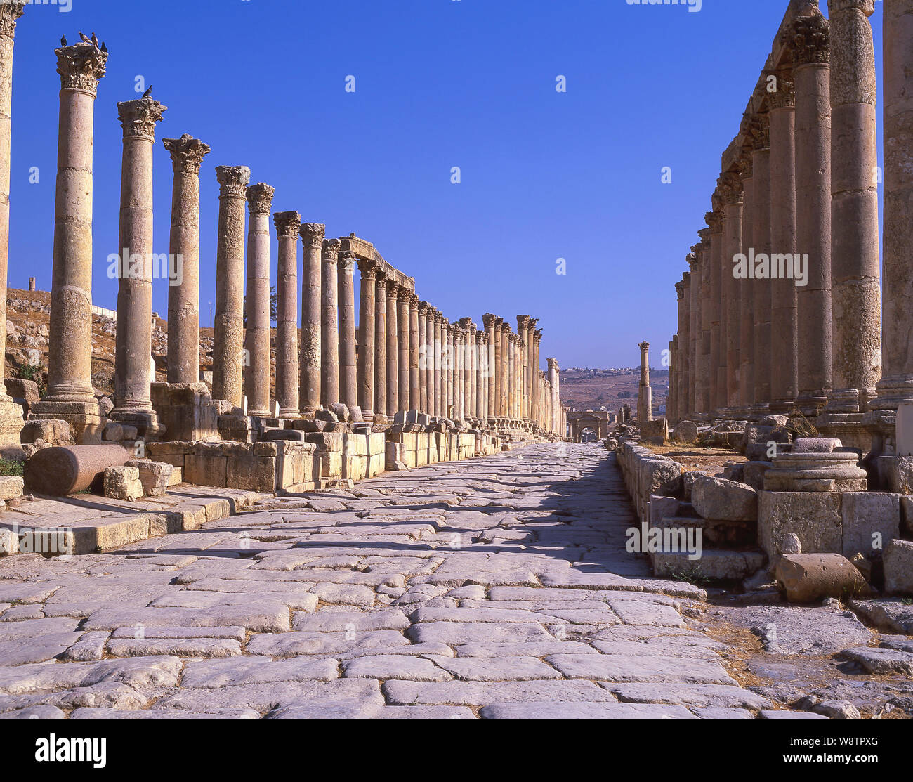Cardio Maximus, Ancient City of Jerash (Gerasa), Irbid, Maan, Kingdom of Jordan Stock Photo