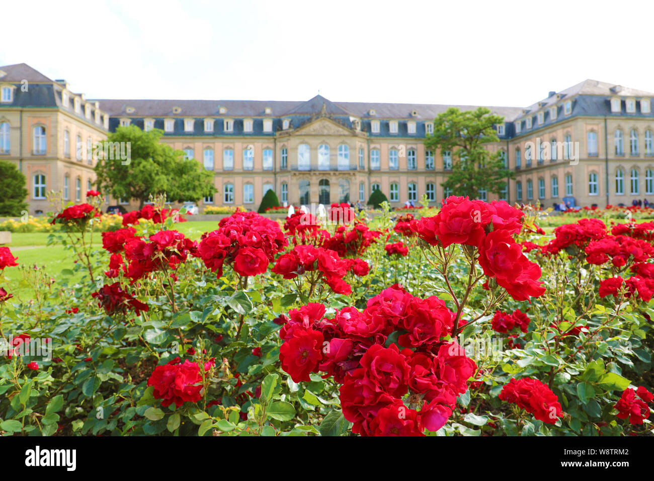 Neues Schloss (New Palace) and Oberer Schloßgarten garden of Stuttgart, Germany. Focus on the red roses garden. Stock Photo