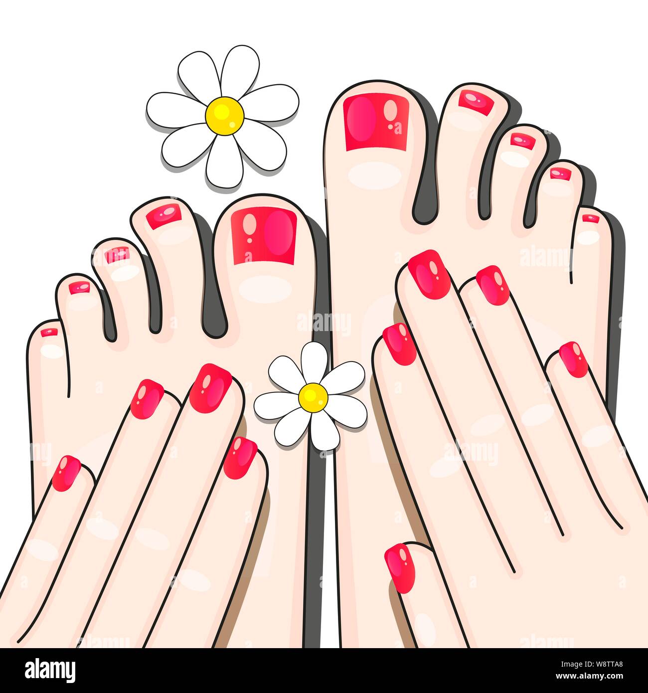 Pedicure Female Fingers Vector Illustration Of Female Feet Isolated On