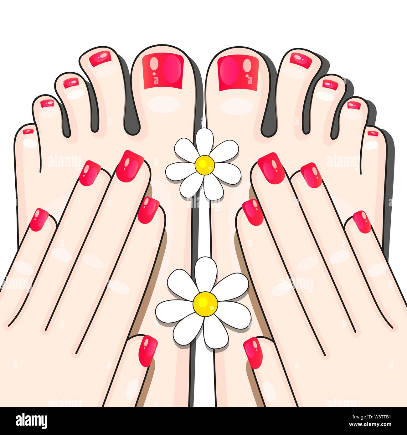 Pedicure Female Fingers Vector Illustration Of Female Feet Isolated On