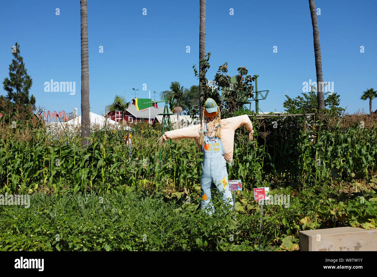 COSTA MESA, CALIFORNIA - AUG 8, 2019: Demonstration Garden and Scarecrow at the OC Fairgrounds Centennial Farm. Stock Photo
