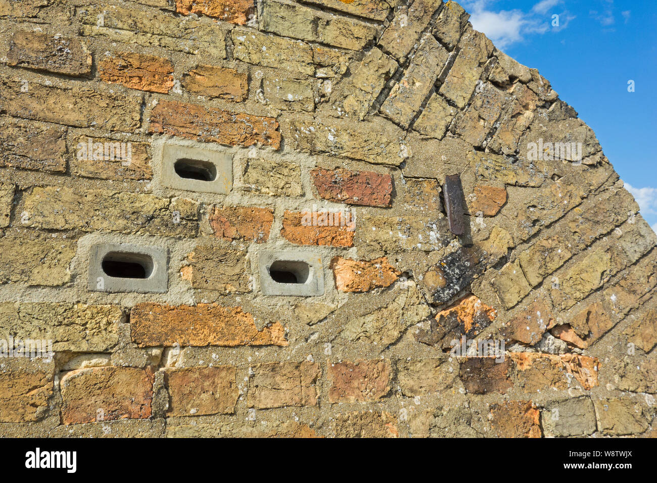 Swift nesting bricks in wall of cottage, Cambridgeshire, England Stock Photo