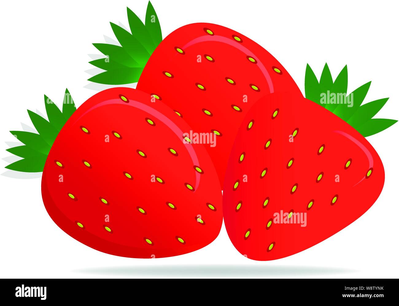 Vector Drawing Of Realistic Bright Juicy Berries Strawberry Stock Vector Image Art Alamy alamy