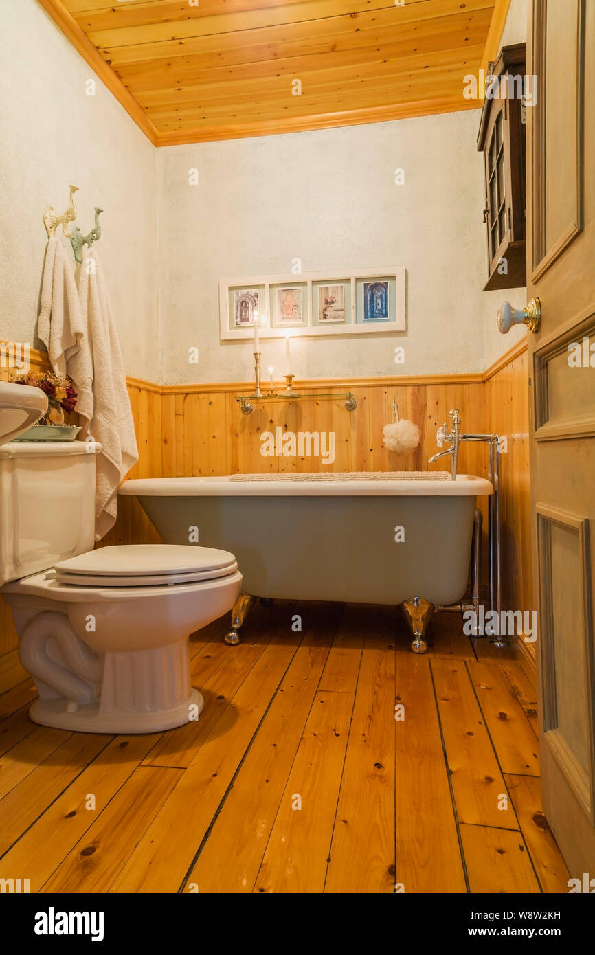 Light green and white rolltop clawfoot bathtub and toilet in ground