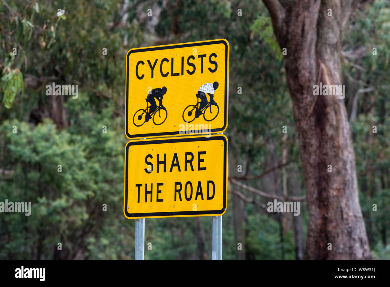 Yellow street sign, Cyclists share the road, in country area in Victoria Australia Stock Photo