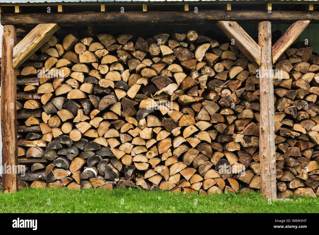 Stacked firewood in storage shed in residential backyard Stock Photo
