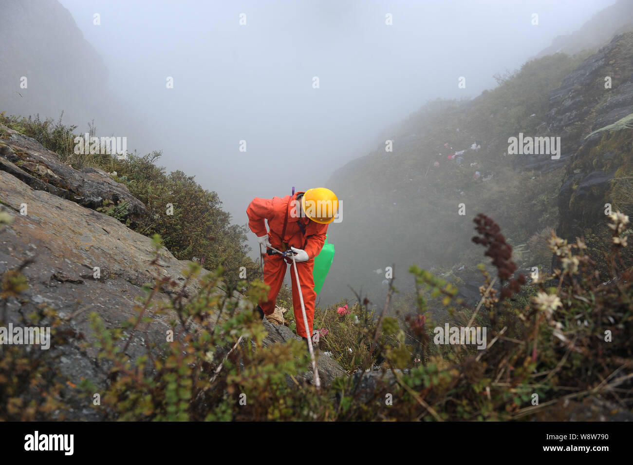A Chinese cleaner climbs down a cliff to collect garbage on the Golden Summit of Mount Emei (Emei Mountain) during the National Day holidays in Emeish Stock Photo