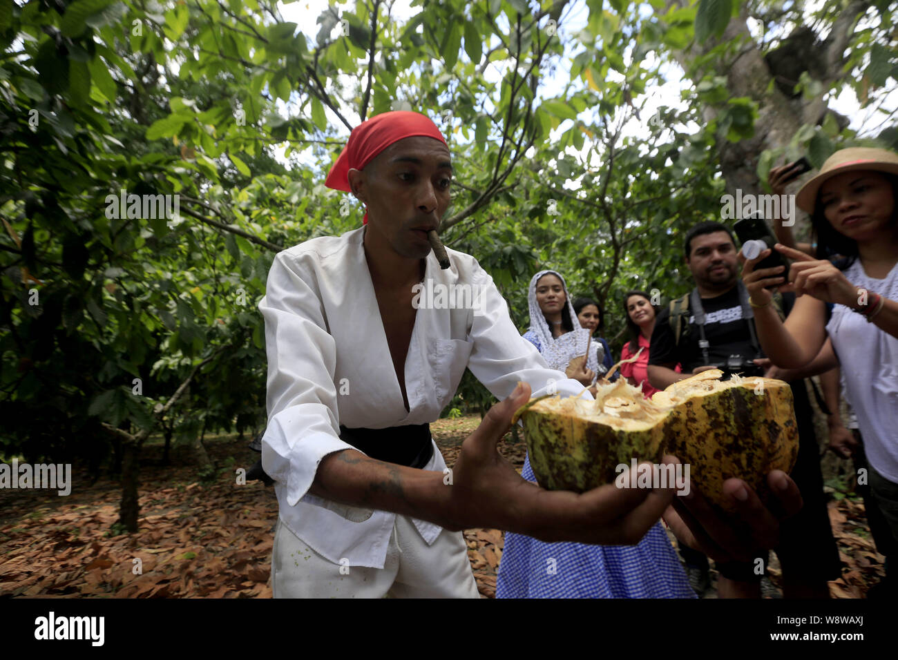 Puerto Cabello, Carabobo, Venezuela. 11th Aug, 2019. August 11, 2019. Journalists carry out a run while observing actors personifying what life was like in cocoa farms in colonial times in Venezuela. The activity was carried out during a press trip to the Luna Clara, cocoa farm, located in the town of Goaigoaza, in Puerto Cabello, Carabobo state. Photo: Juan Carlos Hernandez Credit: Juan Carlos Hernandez/ZUMA Wire/Alamy Live News Stock Photo