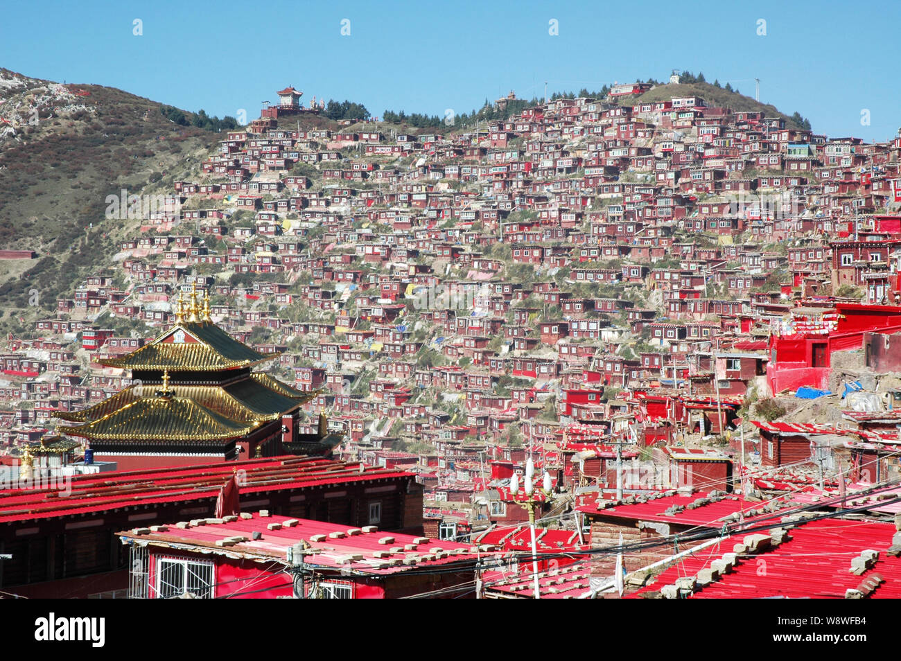 View of homes to monks, nuns and religious students at the campus of