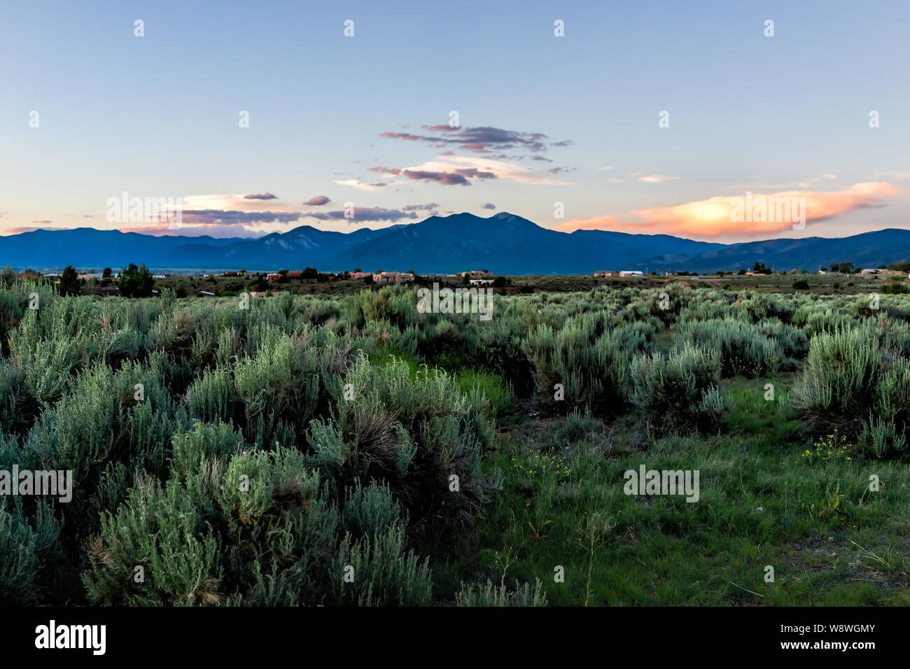 View of sunset and grass green desert sage brush plants in Ranchos de Taos valley and green landscape in summer with sunlight Stock Photo