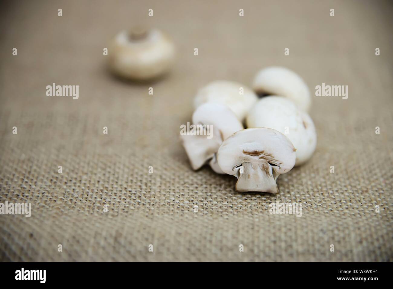 Fresh champignon mushroom vegetable in the kitchen - fresh mushroom vegetable cooking concept Stock Photo