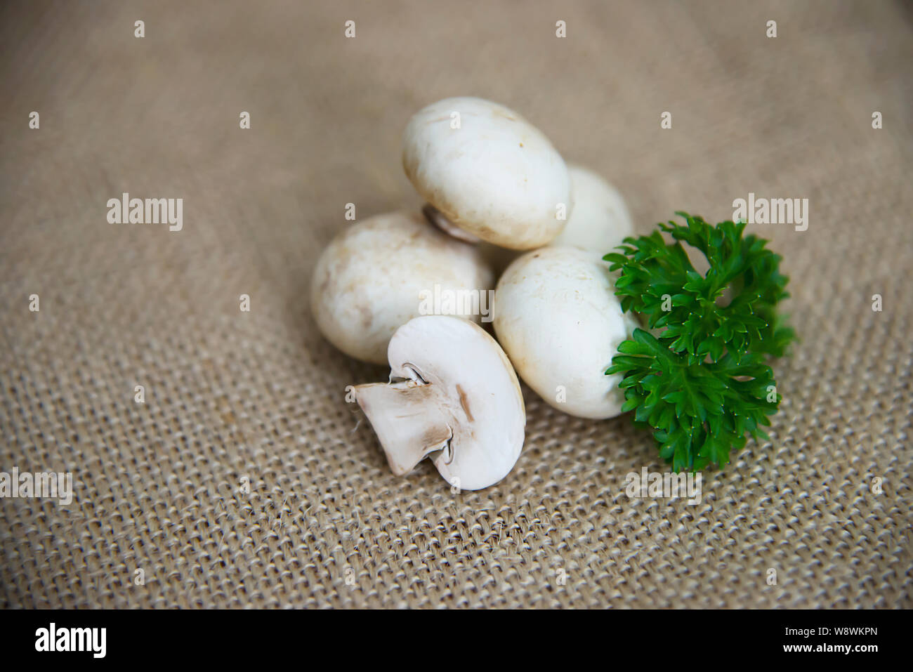 Fresh champignon mushroom vegetable in the kitchen - fresh mushroom vegetable cooking concept Stock Photo