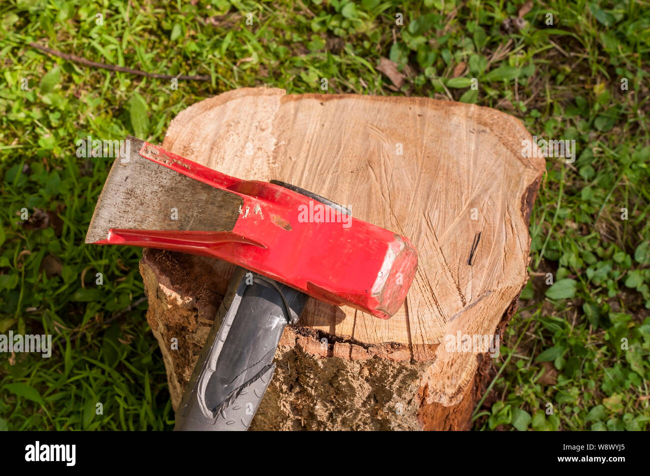 A wood splitting maul on top of a wooden log with grass in the background Stock Photo