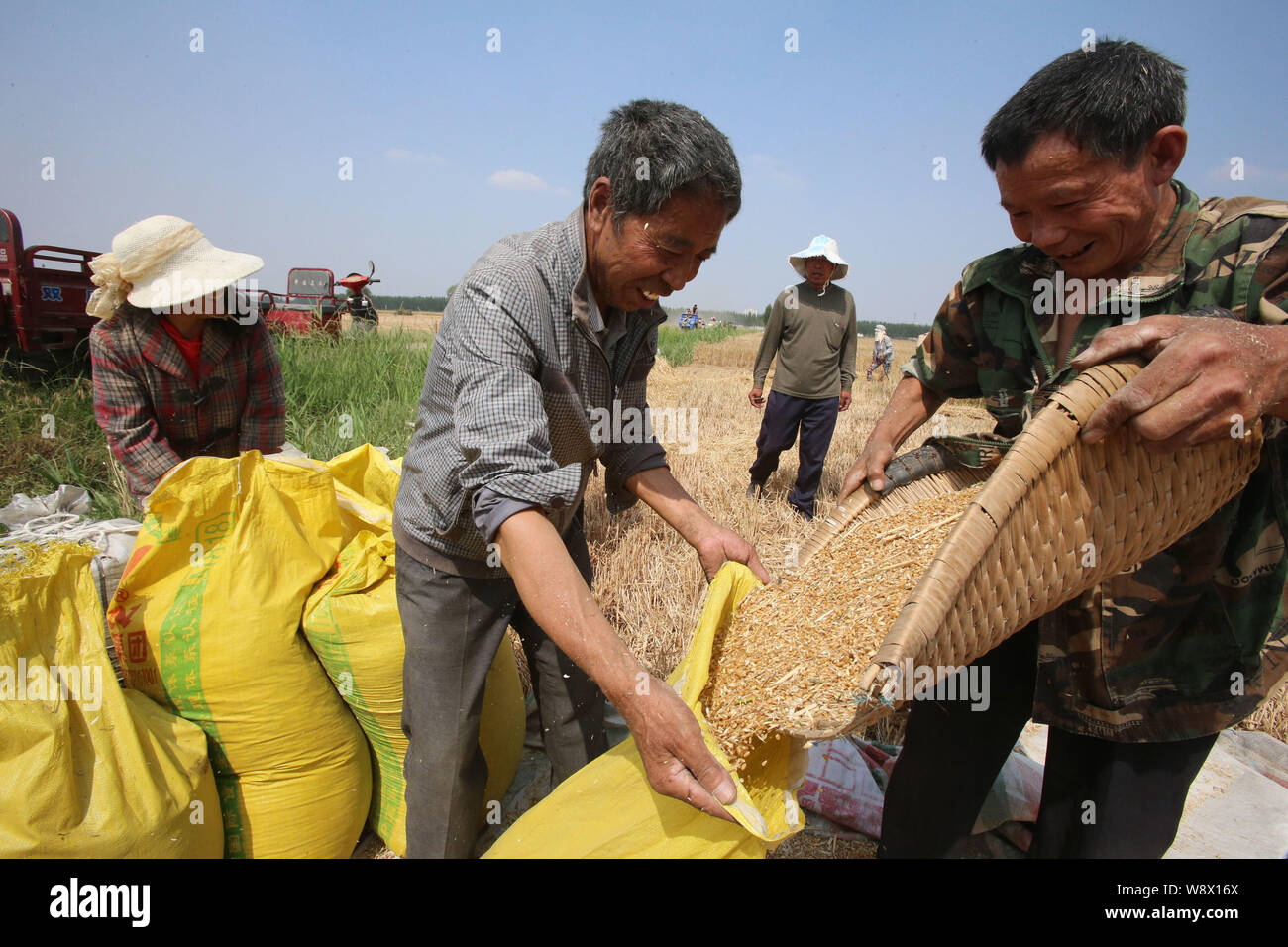 --FILE--Chinese farmers pack wheat in Tubogang village, Shunhe district, Kaifeng city, central Chinas Henan province, 3 June 2014.     As the harvest Stock Photo