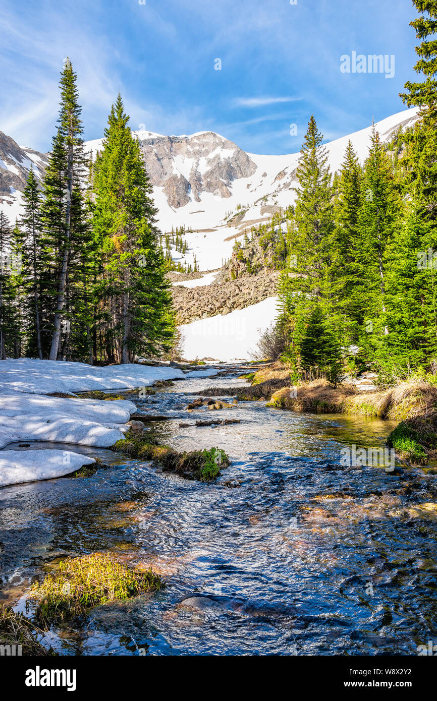 Pine trees and alpine river water on Thomas Lakes Hike in Mt Sopris