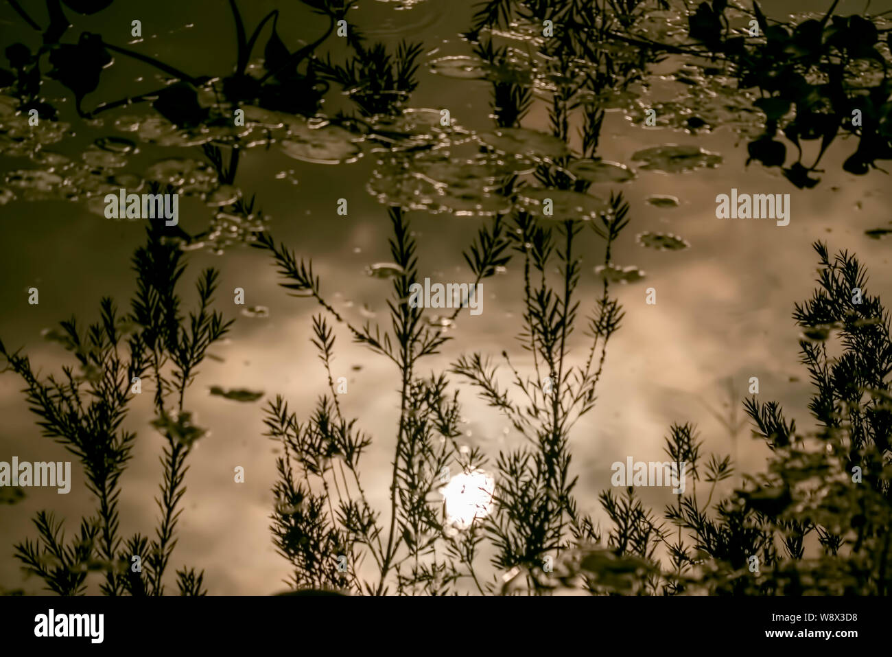 Reflection the sun hi-res stock photography and images - Alamy