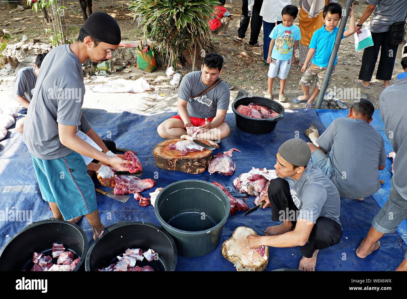 Some volunteers cut the sacrificial meat in Eid al Adha day. Eid al Adha is a traditional Islamic event when some fresh meat are given to the poor. Stock Photo