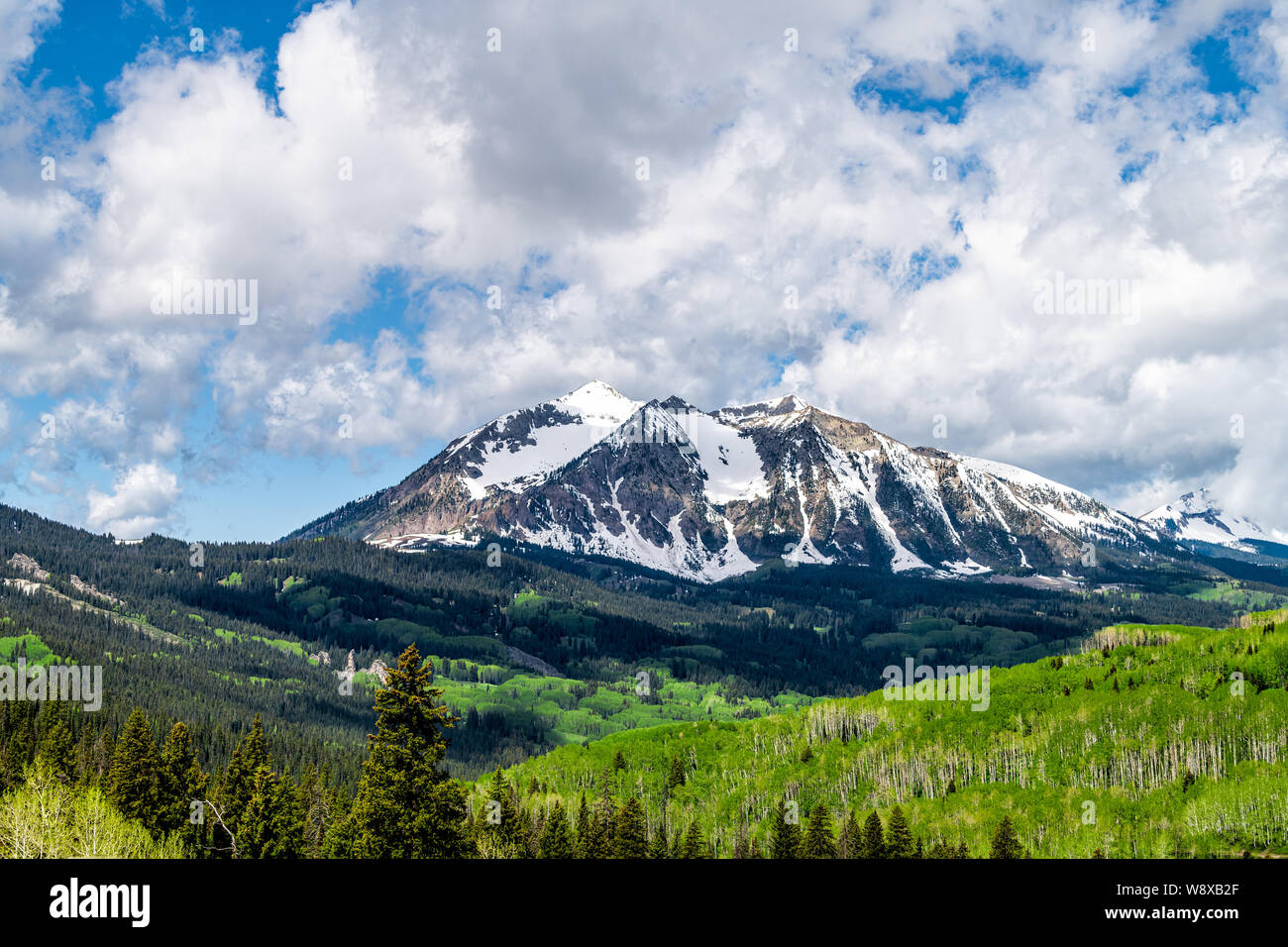 Crested Butte green trees in Kebler Pass snow peak mountain view with