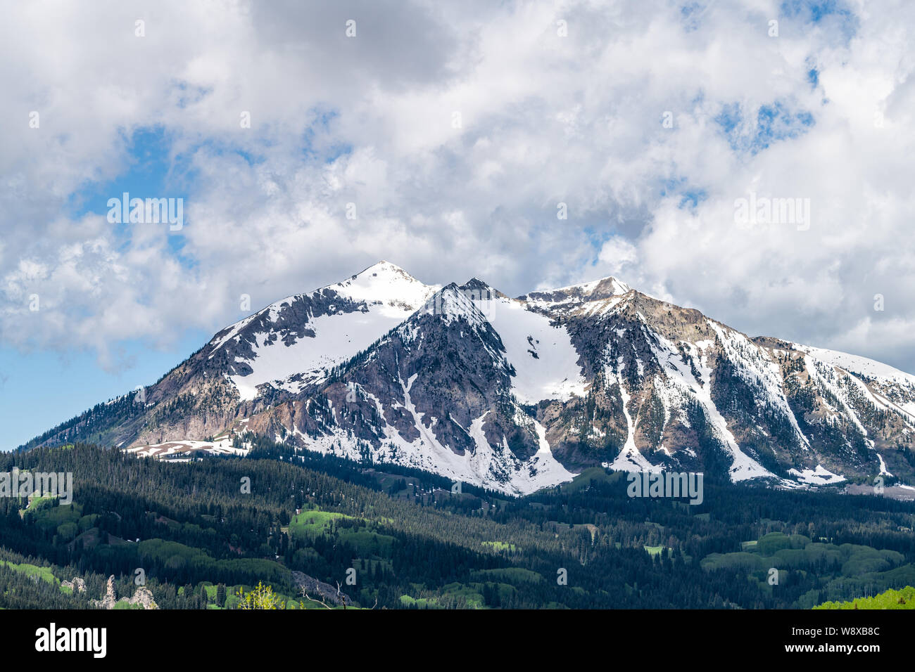 Crested Butte closeup with trees in Kebler Pass snow peak mountain view