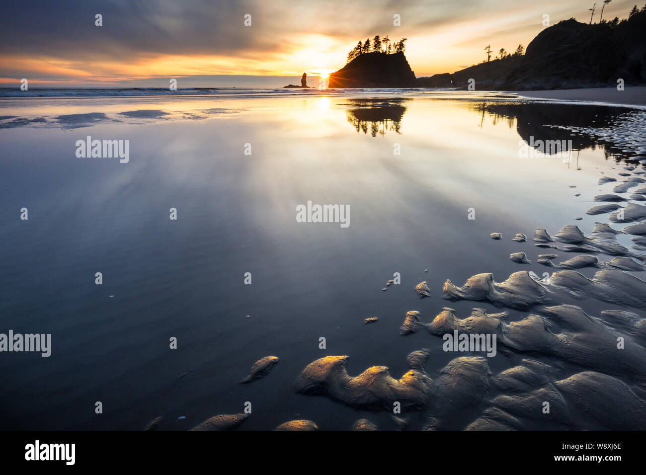 Olympic National Park in September