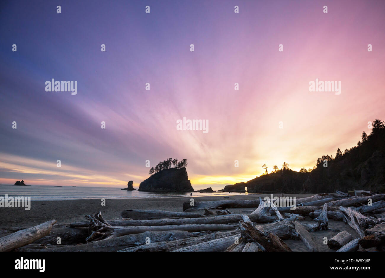 Olympic National Park landscapes in sunset Stock Photo - Alamy