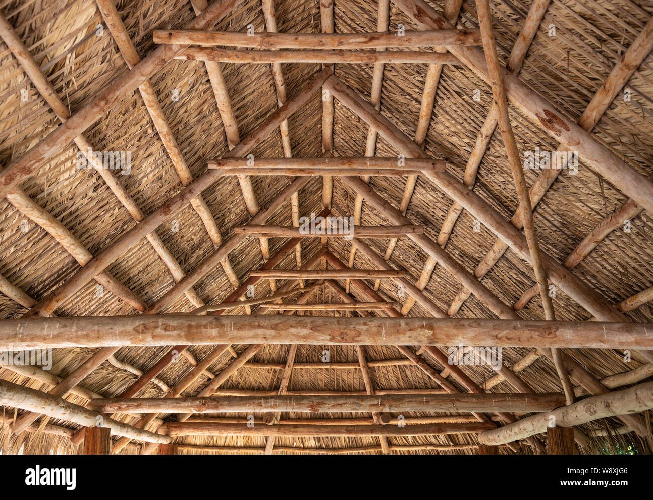 Inside view of thatched-roof Seminole chickee at Jupiter Inlet Lighthouse & Museum in Jupiter, Palm Beach County, Florida. (USA) Stock Photo