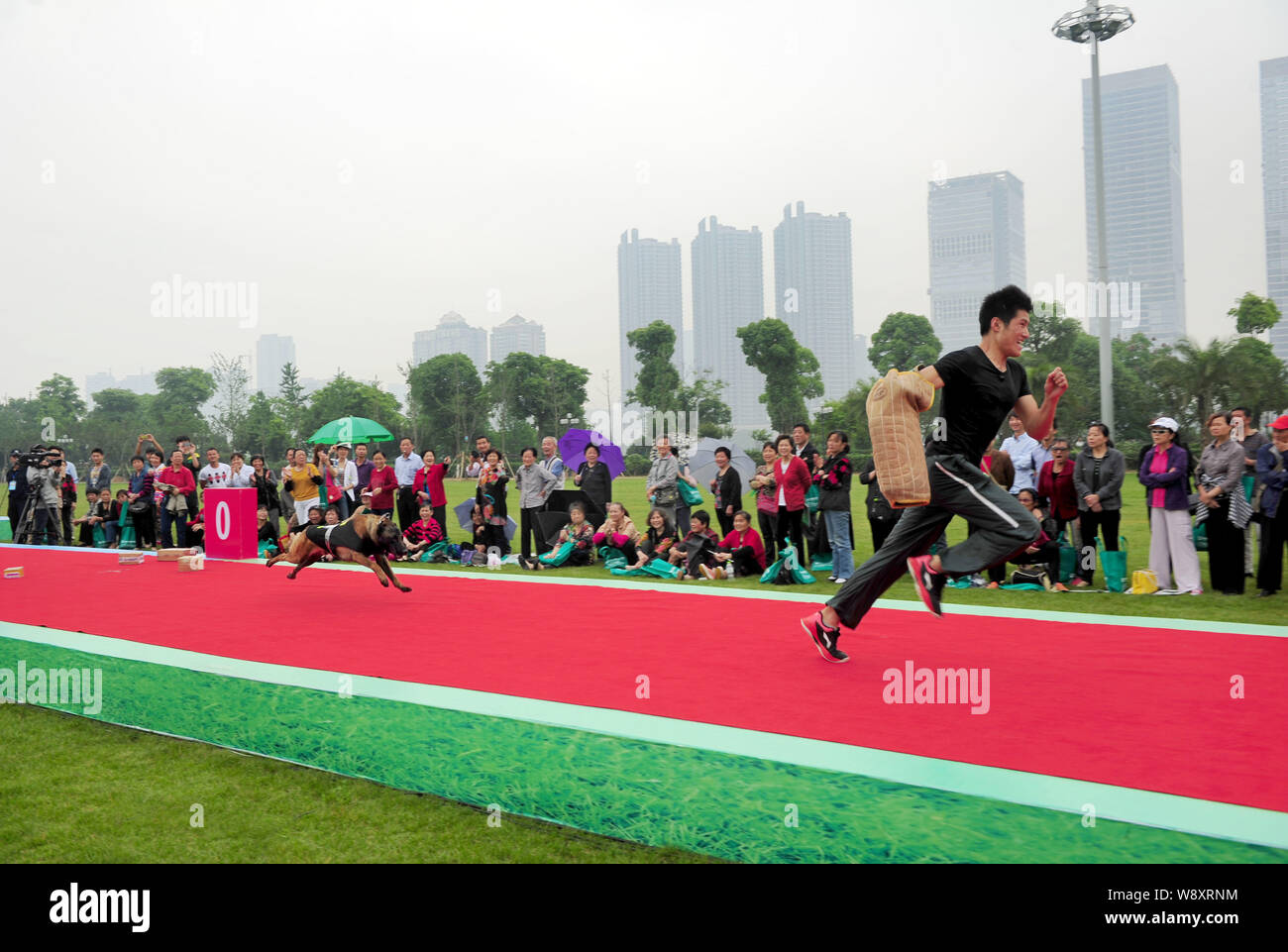 A dog chases a participant during a human vs dog race in Changsha city, central Chinas Hunan province, 16 May 2014.   China loves its themed marathons Stock Photo