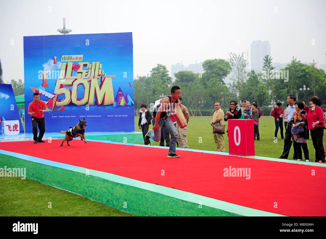 A dog chases a participant during a human vs dog race in Changsha city, central Chinas Hunan province, 16 May 2014.   China loves its themed marathons Stock Photo