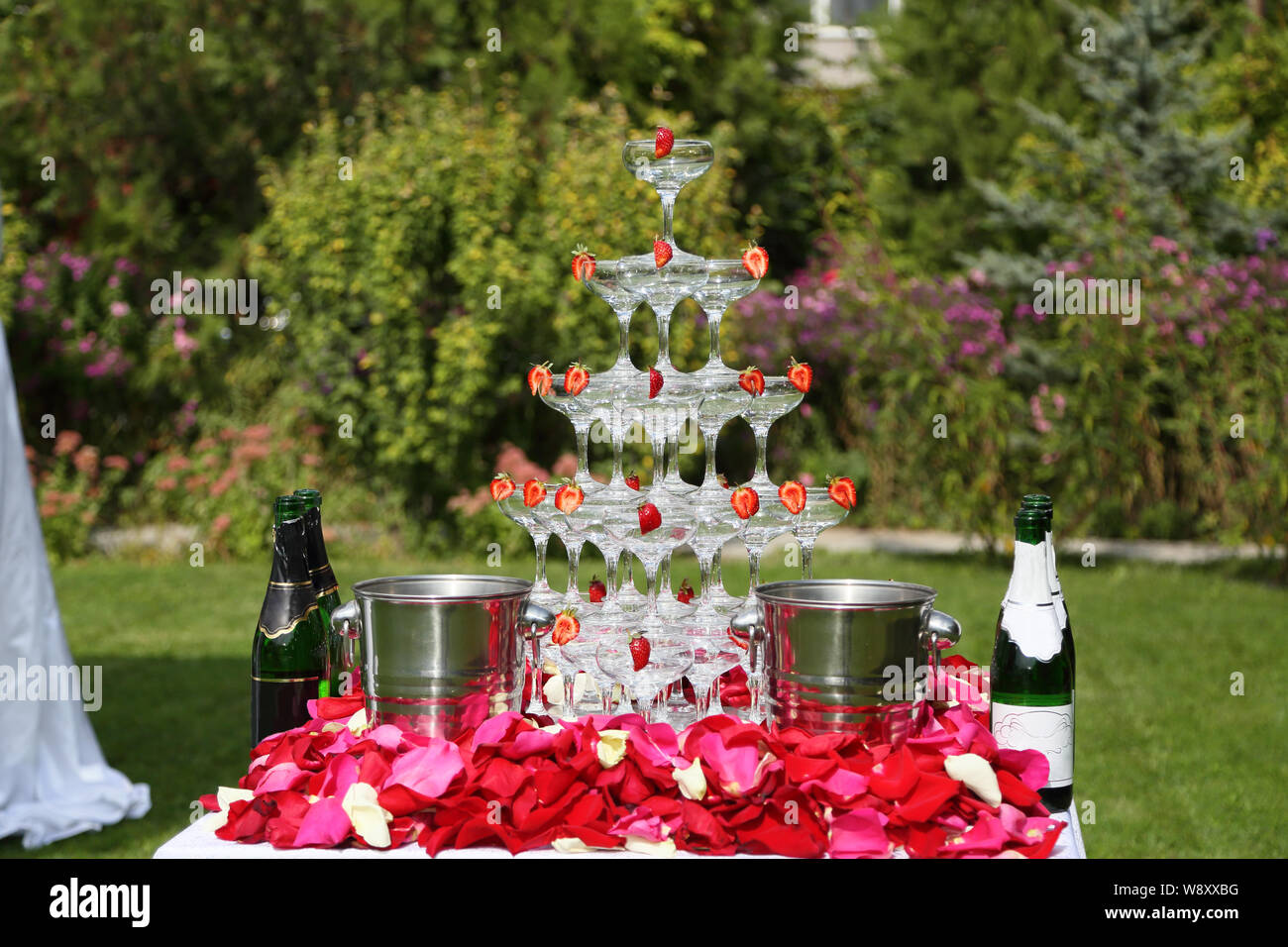 https://c8.alamy.com/comp/W8XXBG/the-pyramid-of-champagne-glasses-outdoors-with-strawberries-and-rose-petals-W8XXBG.jpg