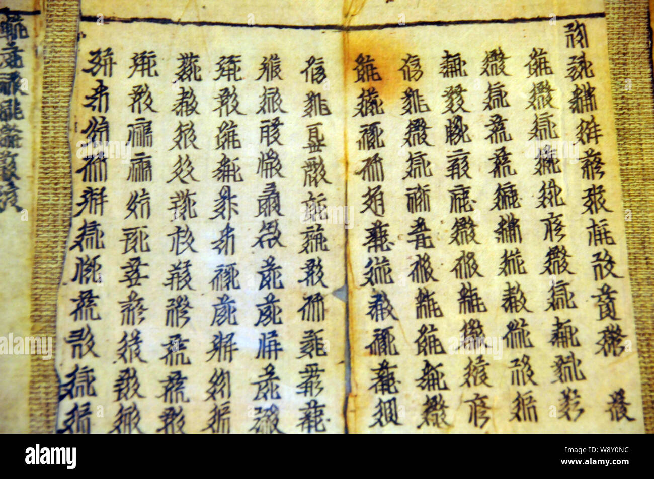A script of Tangut characters is displayed at Wuwei Tangut Museum in Wuwei city, northwest China's Gansu province, 2 October 2013. Stock Photo
