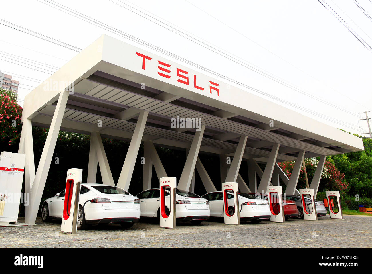 Tesla Model S electric cars to be delivered are being recharged at a charging station in Shanghai, China, 28 July 2014.   Tesla Motors Inc. will proba Stock Photo