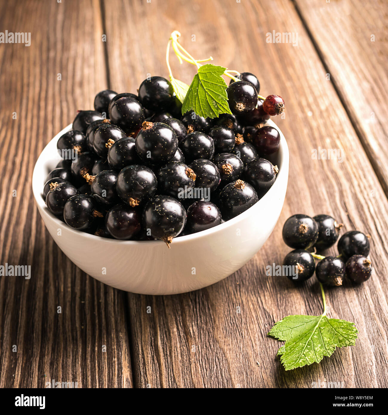 Fresh black currant in a white cup on a dark wooden background. Square frame Stock Photo