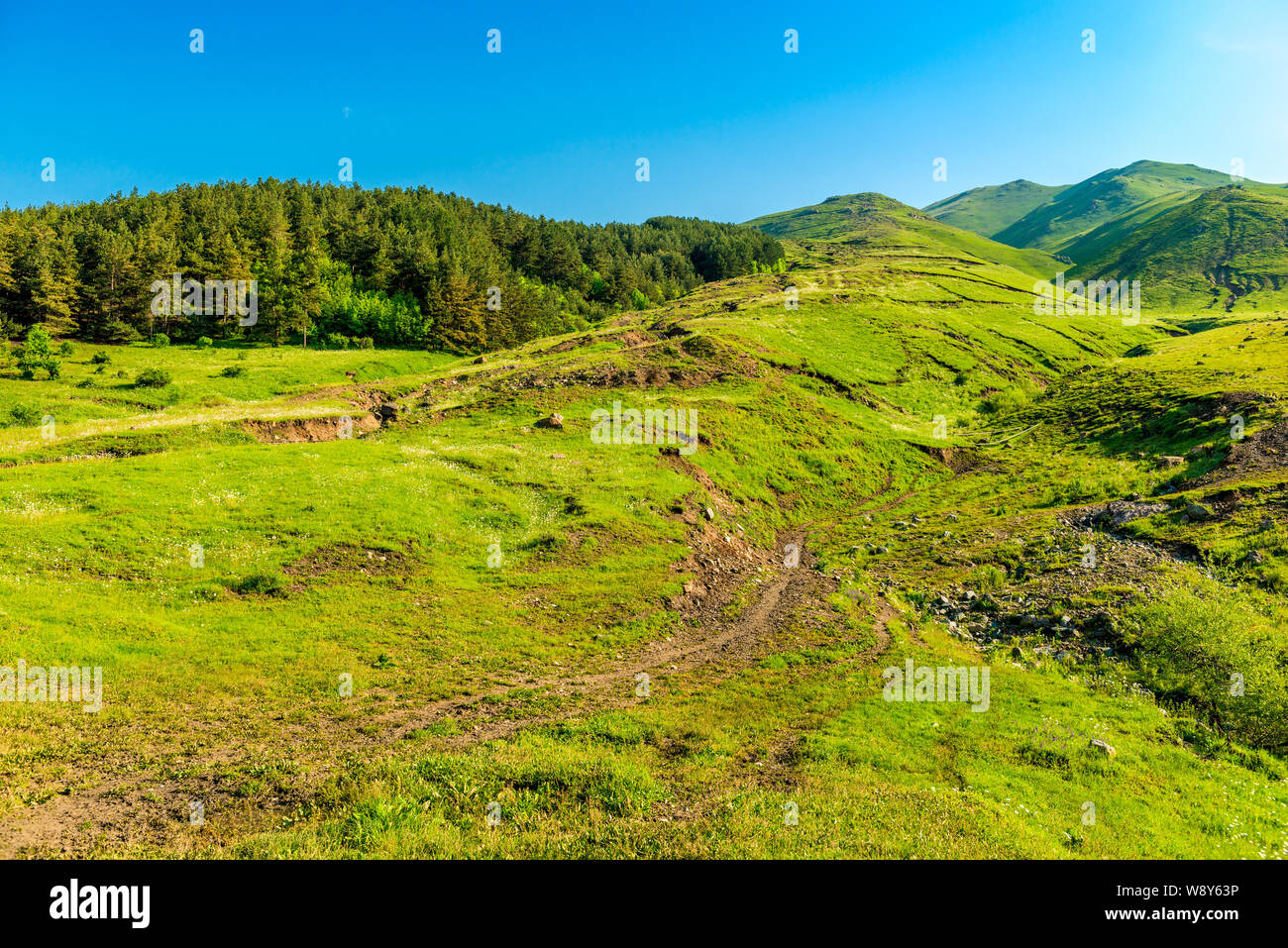 Landscape vegetation in high hi-res stock photography and images - Alamy