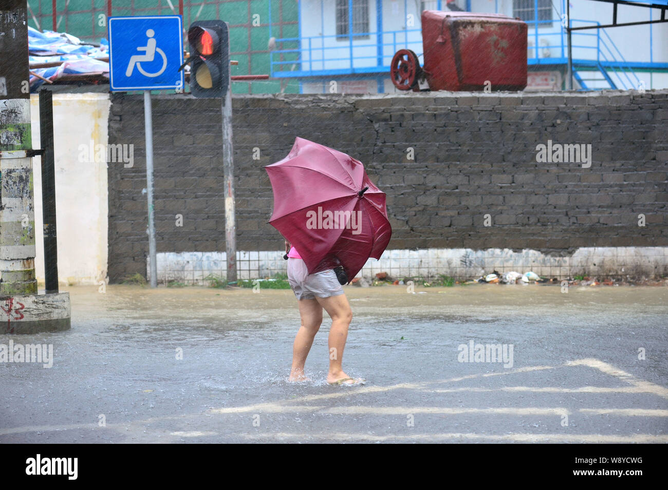 Mesmerizing Schools Close As Torrential Rain From Typhoon Kalmaeigi Hits Hainan Artwork in 4K Mesmerizing Schools Close As Torrential Rain From Typhoon Kalmaeigi Hits Hainan Artwork in 4K