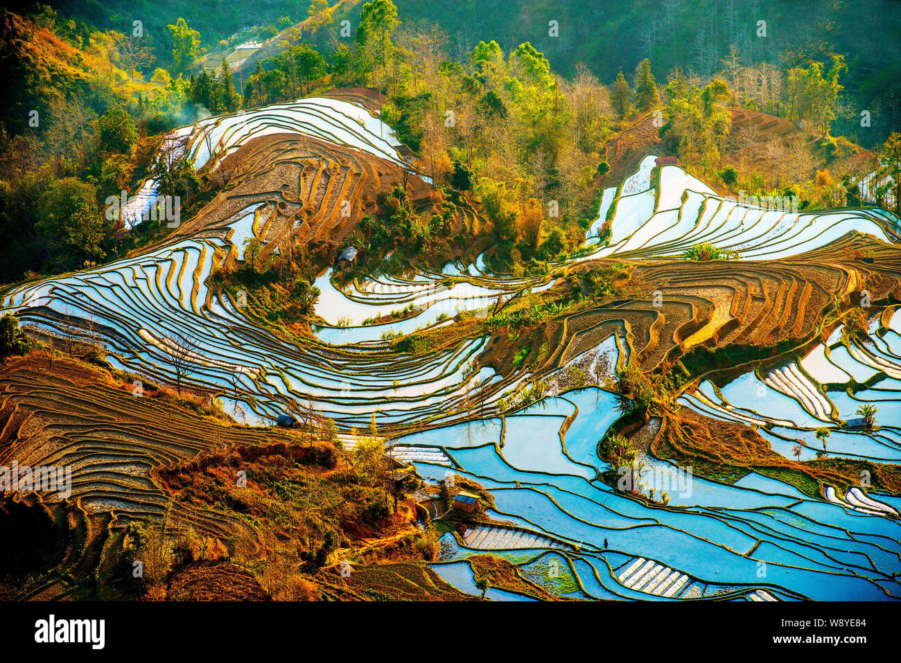 Landscape of terraced rice fields of the Honghe Hani Rice Terraces, one