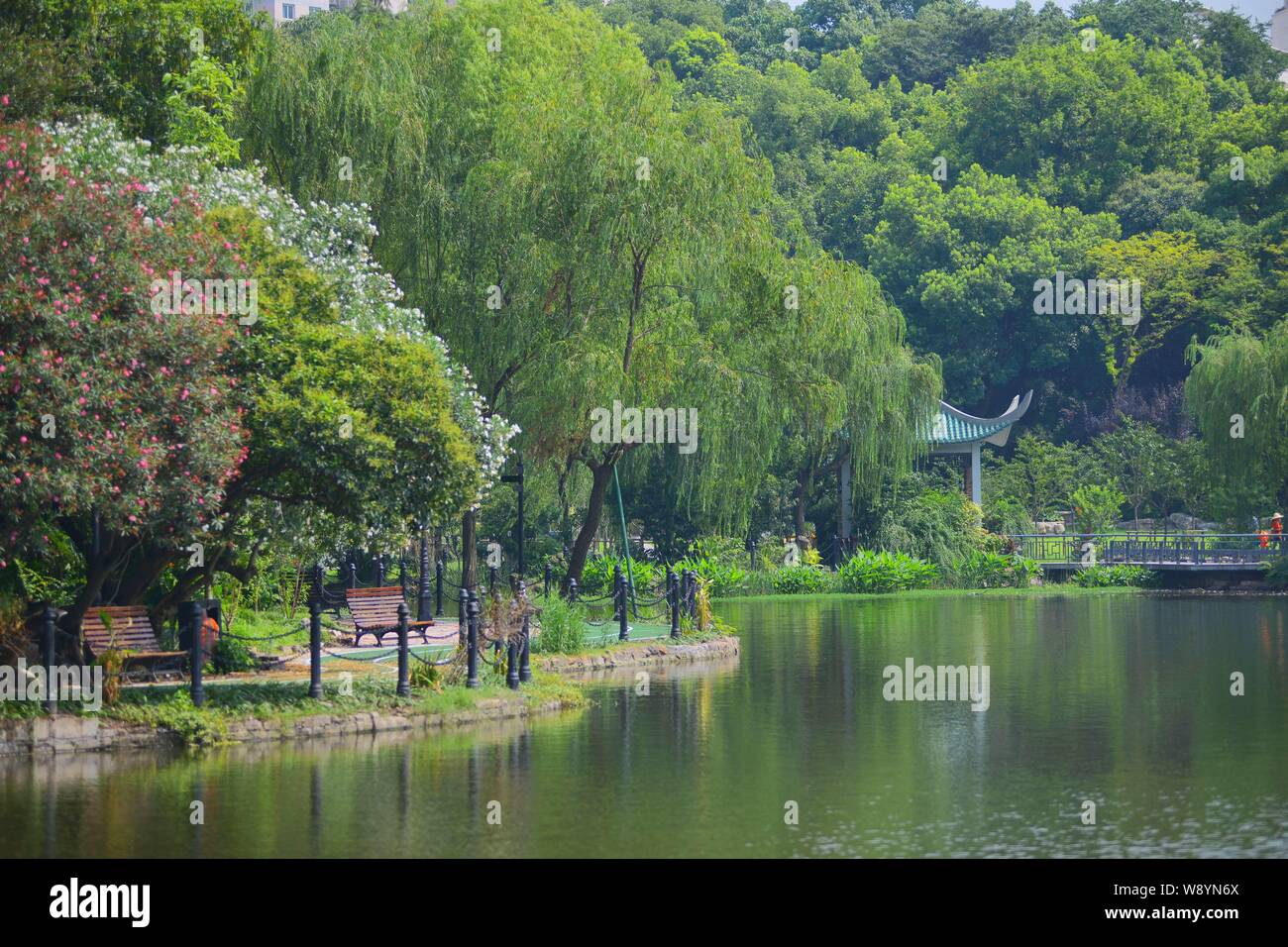 Trees and lakes are pictured in Lu Xun Park in Shanghai, China, 27 August 2014.   Lu Xun Park, previously known as Hongkou Park, designed by the Briti Stock Photo