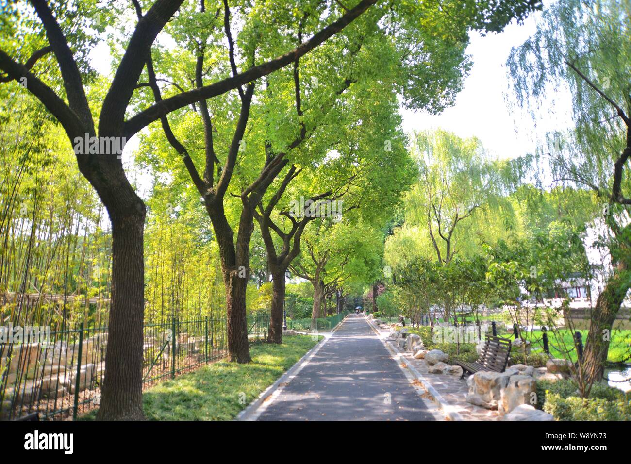 A shady path is seen in Lu Xun Park in Shanghai, China, 27 August 2014.   Lu Xun Park, previously known as Hongkou Park, designed by the British, had Stock Photo